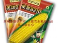 北京奧瑞金種業(yè)奧甜8210超甜水果玉米種子正在火爆招商中