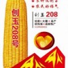 創(chuàng)玉208（玉米）