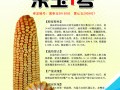 黑龍江雙禾農業(yè)樂玉1號 (1?)