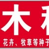 優(yōu)質(zhì)北欒種子河北億利達(dá)種業(yè)