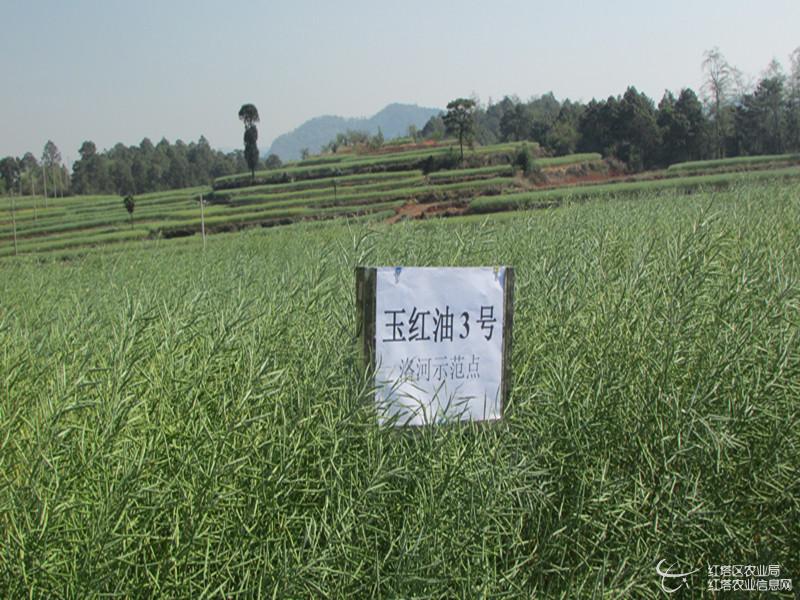 圖片其版權(quán)均歸原作者所有，未經(jīng)許可嚴(yán)禁轉(zhuǎn)載或建立鏡像，如需轉(zhuǎn)載，請與作者或本站聯(lián)系