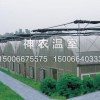 實(shí)用的溫室大棚推薦：紋絡(luò)溫室建造技術(shù)