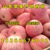 15266676002紅富士蘋(píng)果批發(fā)多錢(qián)一斤