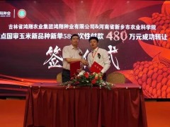 大手筆！這家種企簽了一份480萬元的玉米品種轉讓協(xié)議 (23?)