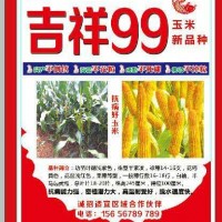 吉祥99玉米新品種，誠招適宜區(qū)域代理商