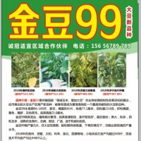 金豆99大豆種，誠招經銷商