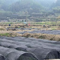 浙江眾扶農業(yè)，湖州眾扶發(fā)展，湖州茶園加盟，浙江茶山加盟