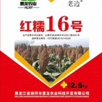 糯高粱種子紅糯16號高粱種子