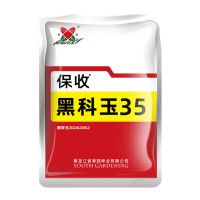 黑科玉35玉米種子