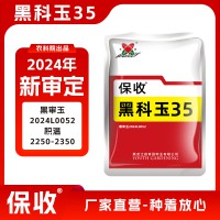 黑科玉35玉米種子