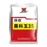 黑科玉35玉米種子積溫2250-2350黑龍江吉林內(nèi)蒙古