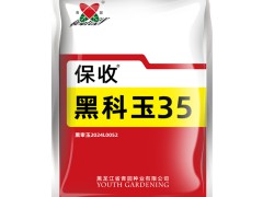 黑科玉35玉米種子 (1?)